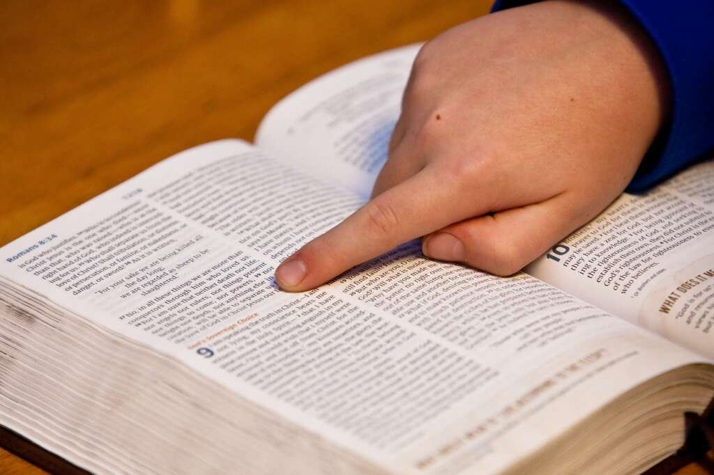 bible study, bible, hand
