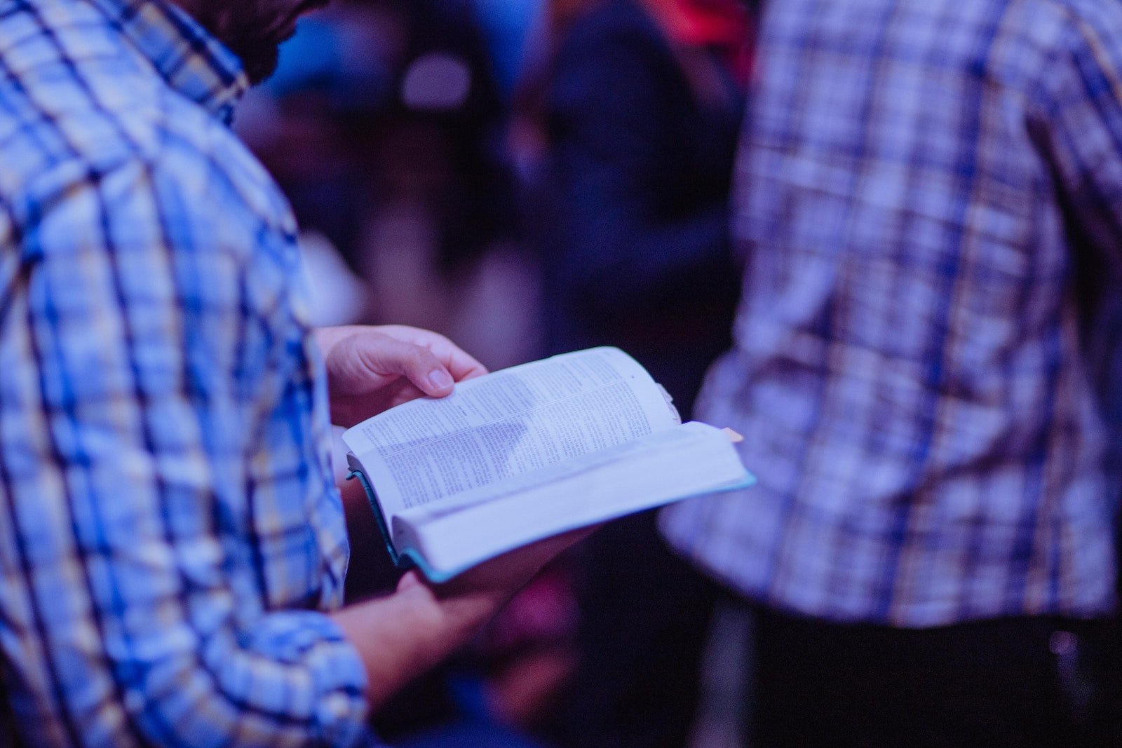 Ideas interesantes para celebrar la Fiesta de la Biblia