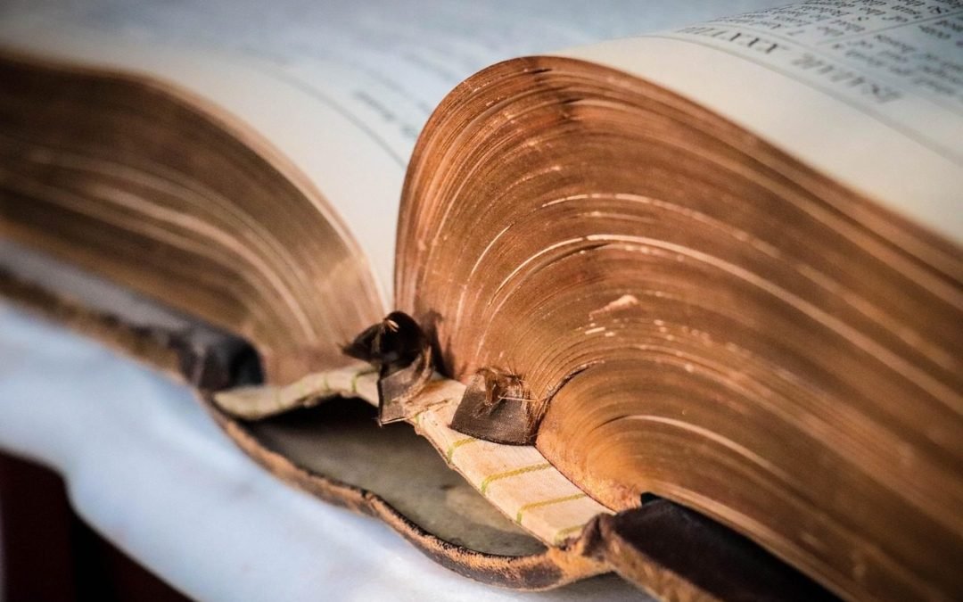 Un tiempo para redescubrir la Palabra de Dios
