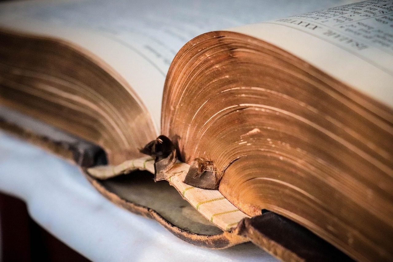 bible, family bible, christian, holy, book, ancient text, old bible, sacred, testament, christianity, brown book, brown books, brown bible, bible, bible, family bible, family bible, book, ancient text, ancient text, ancient text, ancient text, ancient text, old bible, testament