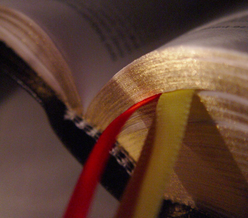 La Biblia del Oso: Un tesoro literario y religioso