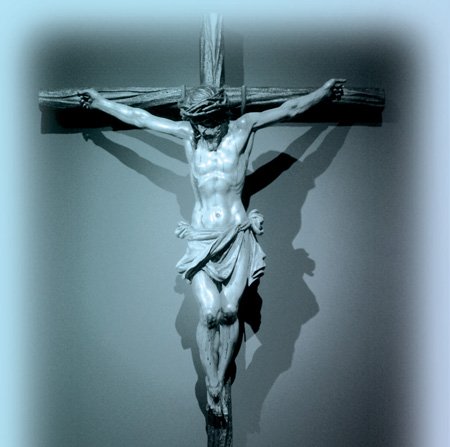 Seguir en toda actividad eclesial los principios católicos