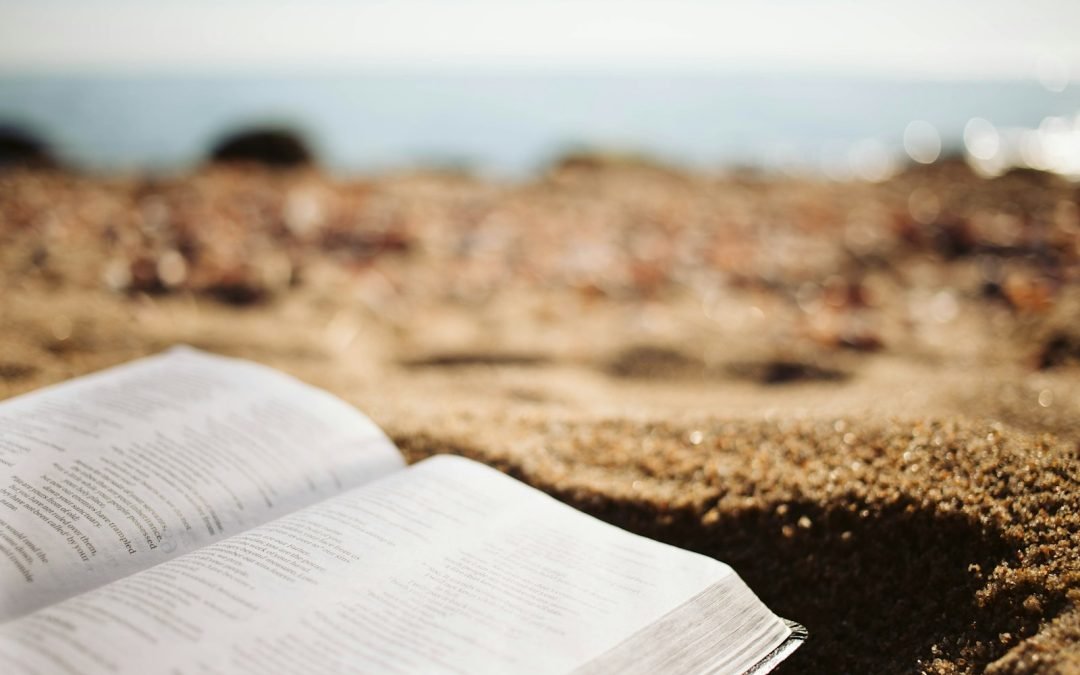 El Nuevo Testamento: Palabra viva para una Iglesia en camino