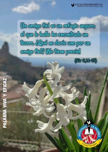 Amigo Fiel