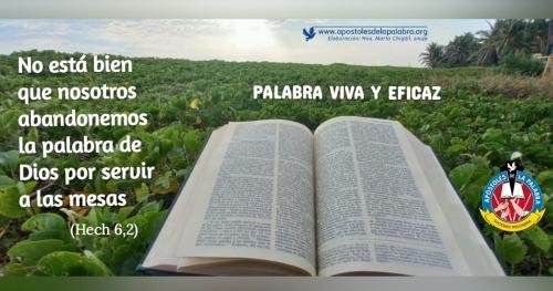 Predicación del evangelio  