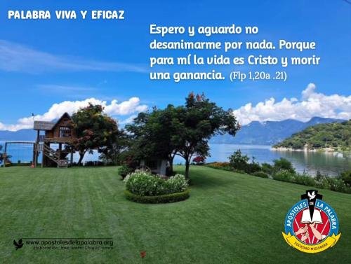 Campo verde