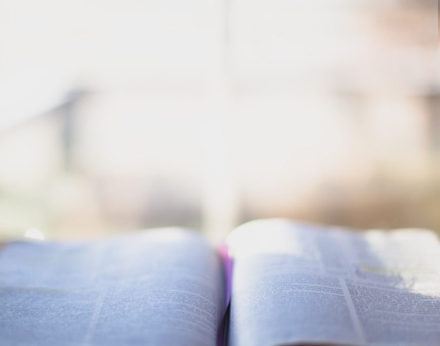 Claves para vivir personalmente el Domingo de la Palabra de Dios