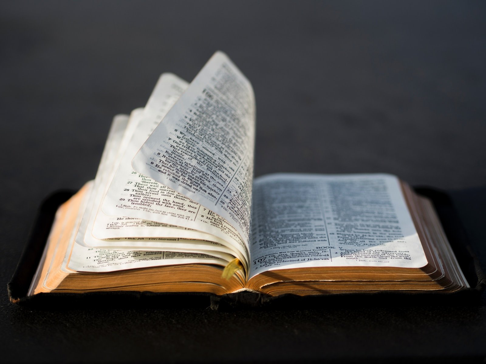 Memorizar la Palabra de Dios