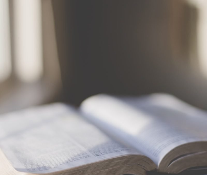 Leer la Biblia en un año